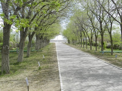 alleya-kosmonavtov-baikonur